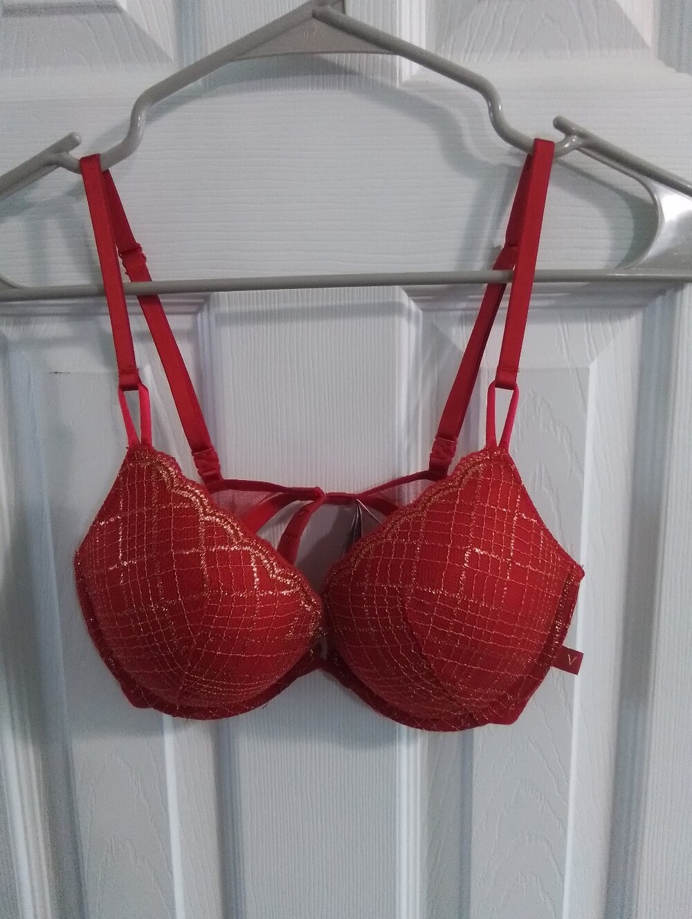 Vivtorias Secret Red Embellished Push-Up Bra